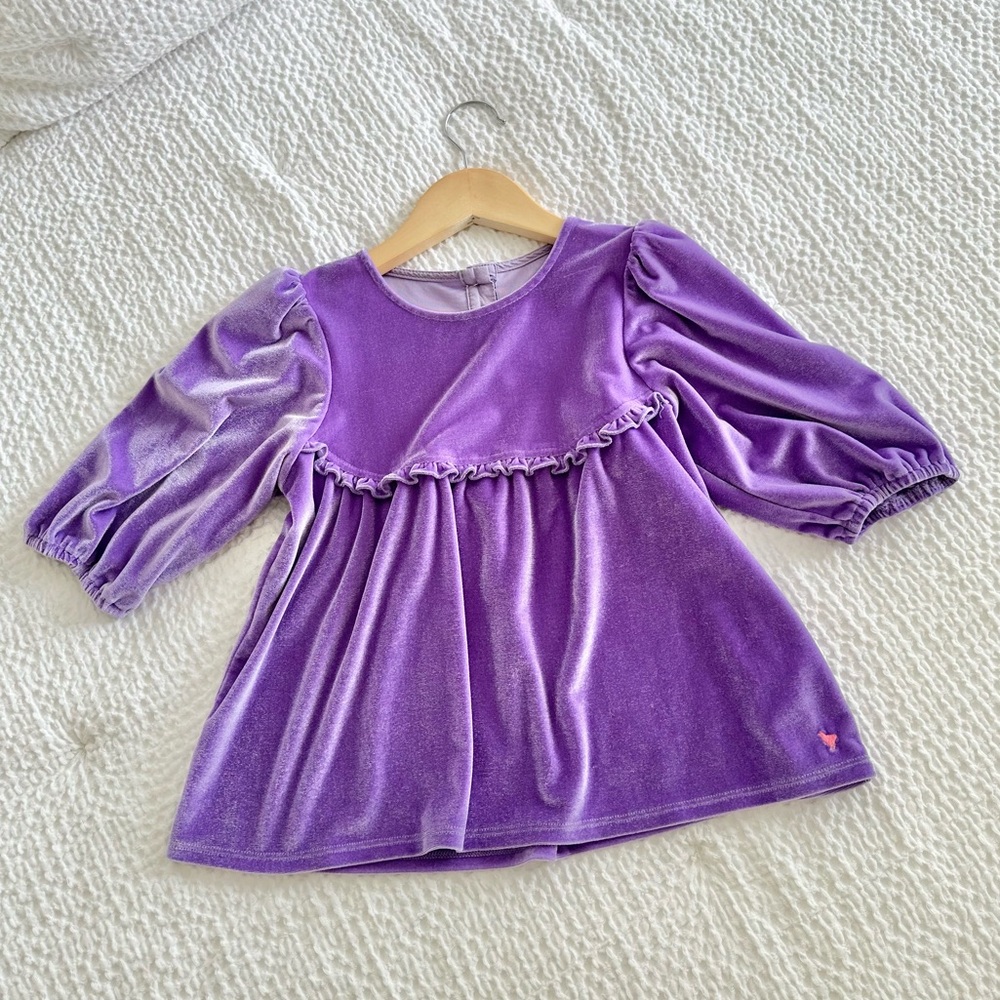 Purple Velvet girls blouse 💜